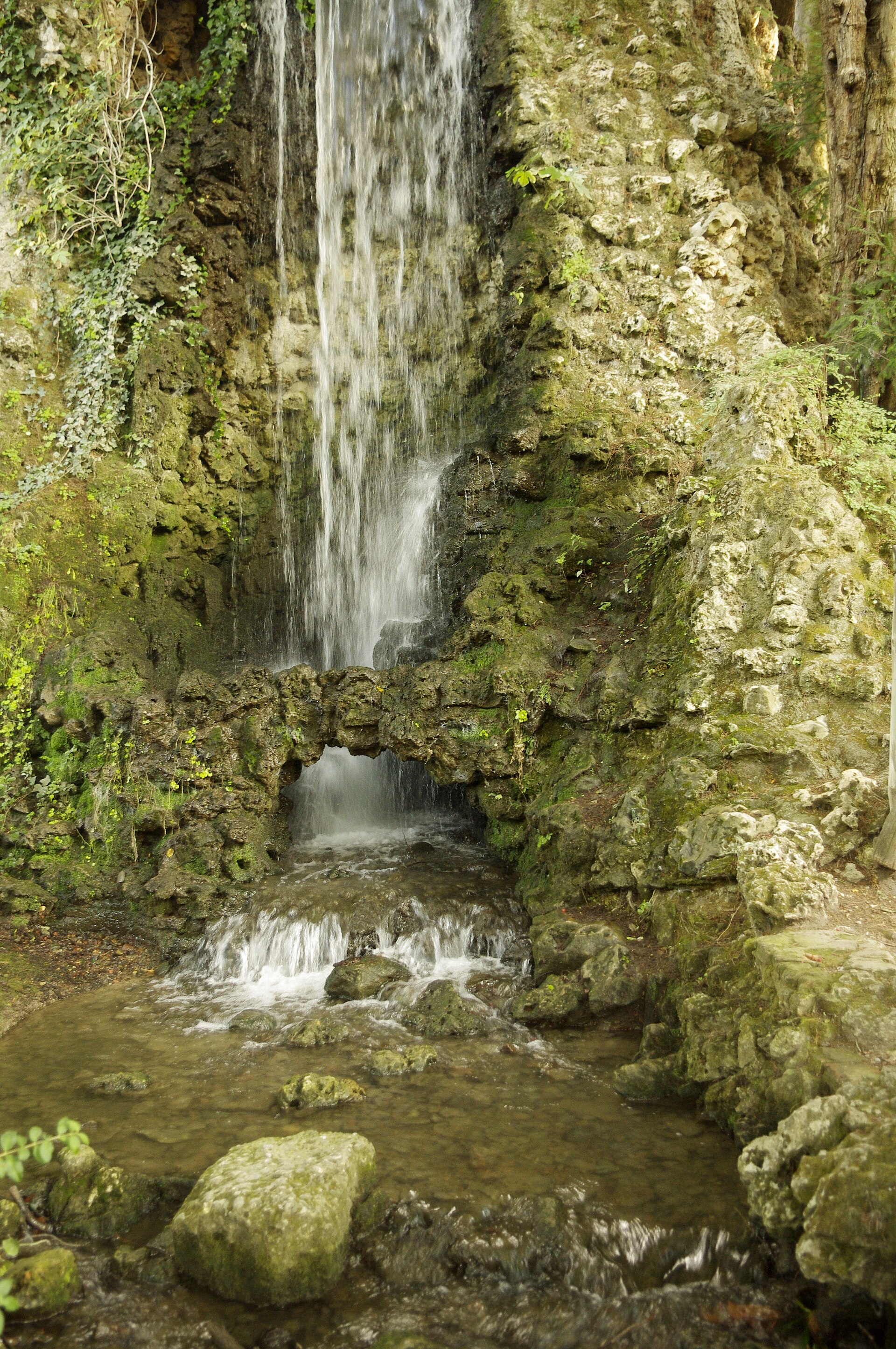 Jardin des Plantes