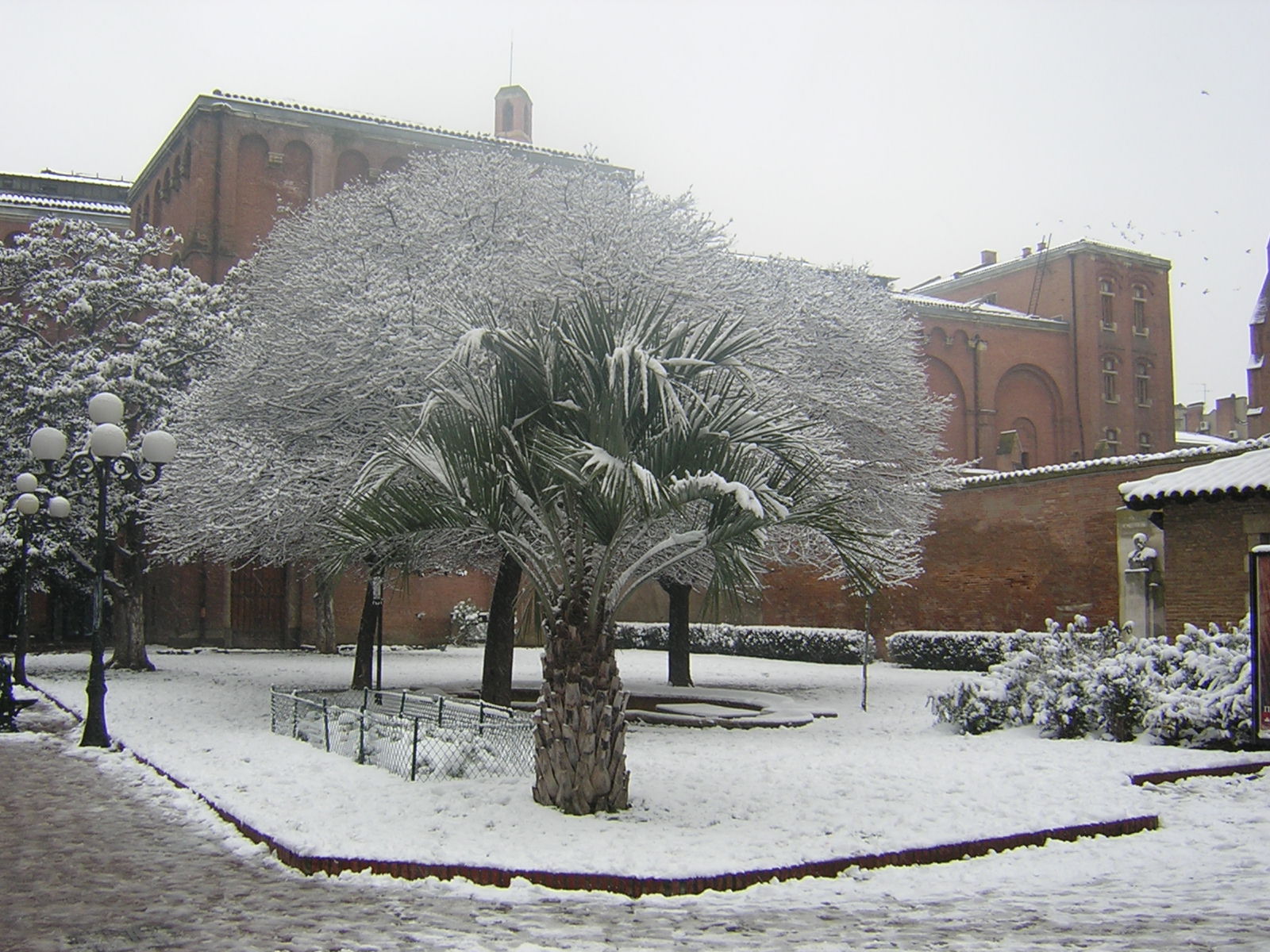 Musée des Augustins
